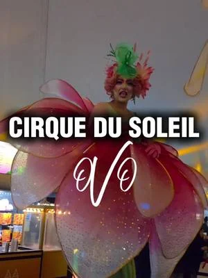 Cirque du Soleil OVO - an absolutely captivating experience from start to finish...